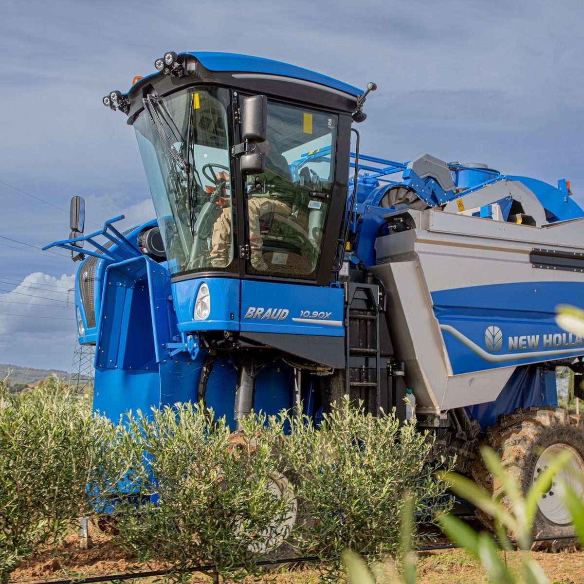 ArteOlio olive harvesting machine at work in Tuscany Italy — high-tech sustainable agriculture